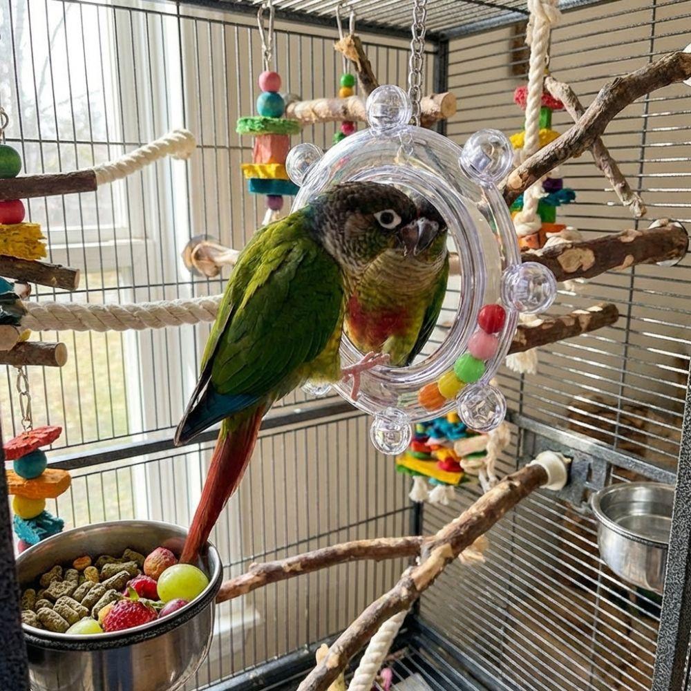 Wear-Resisting Bird Mirror Perch Colorful Ball Bird Flying Saucers Bird Supplies