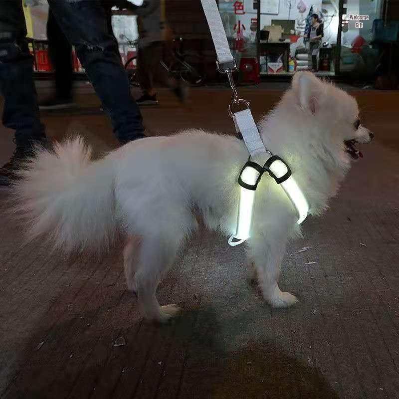 LED Luminous Dog Harness for Medium & Large Dogs - Night Glow Pet Safety Light