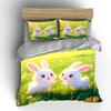 Cute Rabbit Trio Decoration Set Soft Comfortable Duvet Cover Bedding Set Included 1*Duvet Cover & 2*Pillowcases, Gift
