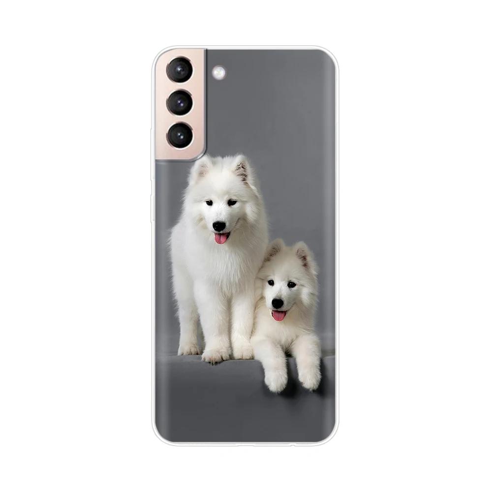 Mobile Phone Bag Case For Samsung Galaxy S21 Silicone Back Cover For Samsung S21 plus s 21 GalaxyS21 S21 FE S21Ultra Cases Capas
