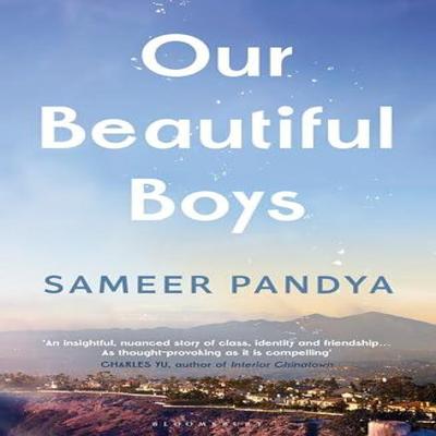 Our Beautiful Boys by Sameer Pandya Hardback Book 9781526676924
