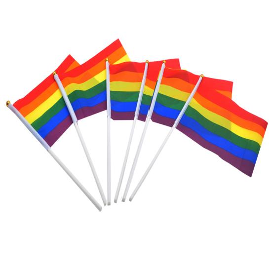 

6 шт. Райдужні прапори ЛГБТ-прайду для гей-лесбійської ЛГБТ-символіки, для фестивальної вечірки, для махання руками