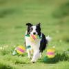 Ball Toys For Dogs Interactive Game Puppy Ball For Puppy Small Medium Large Breed Boredom Self-Entertainment Outdoor Park