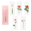 Book Note Marker PET Bookmarks Card Specimen Bookmarks Nature Plants Bookmarks Translucent Flower