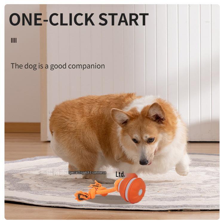 Intelligenter Rollball: Elektronisches Hundespielzeug & Bissfester Katzen-Zerrer