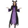 Fiestas Guirca Womens/Ladies Evil Fairy Costume Set