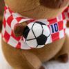 Flauschige Fußball Capybara Plüschtier Sport Capybara Fluffty Puppe Kindergeschenk