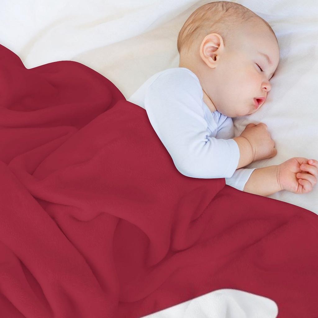 The Muhlenberg Throw Blanket Heavy Soft Big wednesday Thermal Blankets