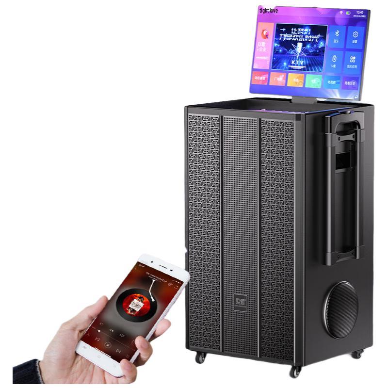 Soai K1218 Outdoor Karaoke All-in-One Speaker