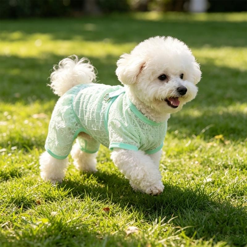Summer Cooling Meshes Dog Shirt Light weight Breathable Ice Vests Sun Protecting Quick Drying Casual Shirts