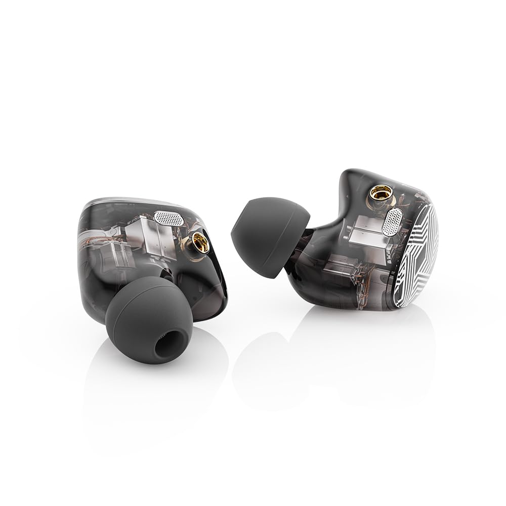 

FIIO FA19 from authorized Japanese number Wired earphones Earphones FIO-IEM-FA19-B [Ships retailer/Serial included] чорний