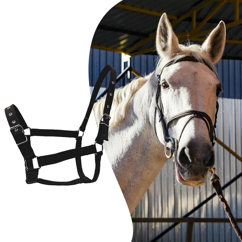Verstellbares Nylonhalfter für Pferde, Bequemes Zubehör, Ausrüstung für Training und Turniere,