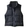 Women Winter Vest Coat Stand Collar Solid Color Button Closure Sleeveless Padded Thick Short Type Windproof Warm Lady Waistcoat