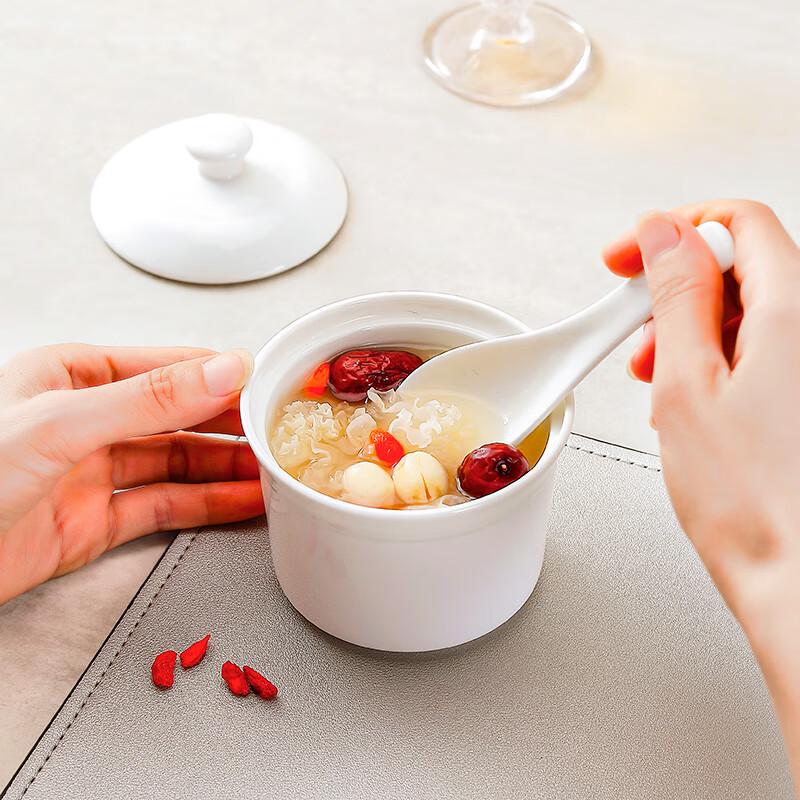 Sky Top Bone China Covered Steaming Stew Pot