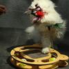 Cat Scratcher Board Wear Resistant Cat Scratching Board Toy with Ball Multifunction Grinding Claw