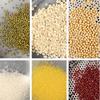 Stainless Steel Flour Sifter