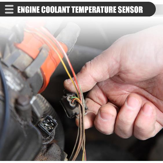Motoforti Engine Coolant Temperature Sensor, Water Temp Sender, for MITSUBISHI Challenger K94 2.5TD 1998-2007, Metal, No.ME202053, Gold Tone