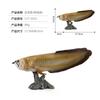 Solid Static Simulation Marine Animal Model Plastic Ornament Golden Arowana Silver Arowana Children'S Toy Figure