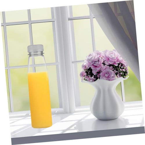 JECOMPRIS 10-Piece Empty Storage Bottles, Juice Bottles, Clear Water Bottles, Empty Juice Containers, Travel Lotion Containers, Juice Mugs, Handmade M