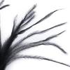 100Pcs DIY Ostrich Feathers Ribbon Tassel Loose Plumas Decorativas  for Clothes Decoration