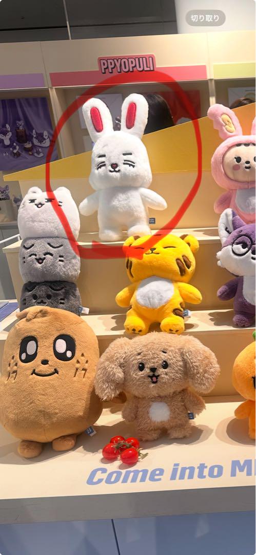 

[USED] MINITEEN Pop-up Plush Toy S.Coups SEVENTEEN