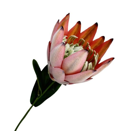 Artificial King Protea Flowers Lifelike Tropical Floral Arrangements Faux Protea Cynaroide with Stem for Wedding Centerpiece Home Office Table Decor