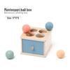 Montessori Early Education Toy Set: Round Ball Coin Box, Object Permanence Drawer & Textile Drum for Toddlers 0-3 Years