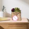 Nützlicher Blumentopf, kreativ, leicht, dekorativ