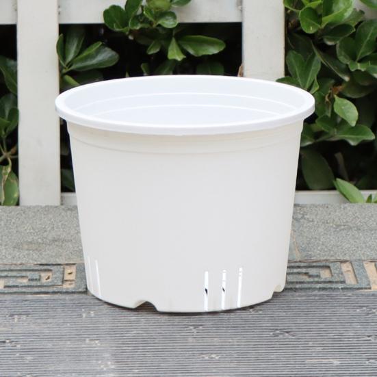 Pothos Planter with Saucer Flowerpot with Drainage Holes Ventilated Plant Pot for Roses Orchids Blueberries Indoor Outdoor Use