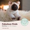 Bearington Lil' Cleo Siamese Cat Plush Toy with Ultra-Soft Long Fur - Birthday, Anniversary, Valentine's Day Gift for Animal Lovers and Cat Owners