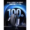 Câble USB Type C UGREEN [PD 100W Câble de Charge Rapide Type C 2-en-1] Câble USB C vers USB C Équipé d'une Puce E-Marker avec Compatibilité Prévention de Déconnexion