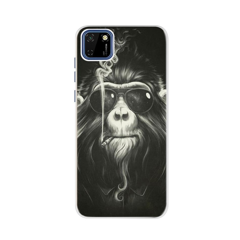 Case For Huawei Honor 9S Case 5.45" Silicon Painted Soft TPU Cover On Honor 9S 9 S S9 DUA-LX9 Phone Back Protective Coque Bumper