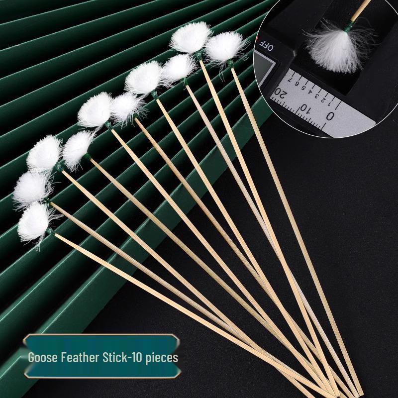 Ohrreinigungs-Werkzeugset mit Gänsefederstäbchen für sichere Ohrpflege