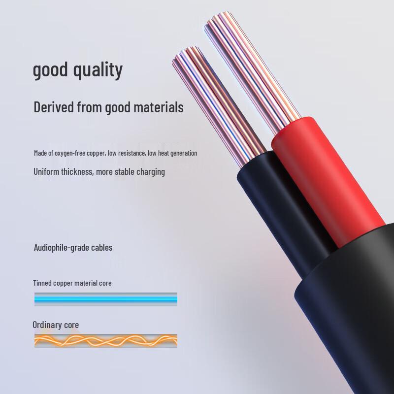 Lenovo 65W USB-C Laptop Charger