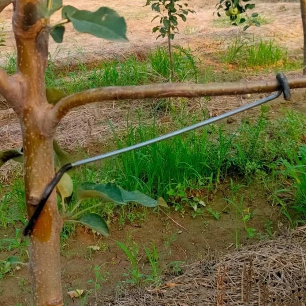 10Pcs Anti-Slip Fruit Tree Branch Puller High-Strength Branch Shaping Device  Tree Sapling