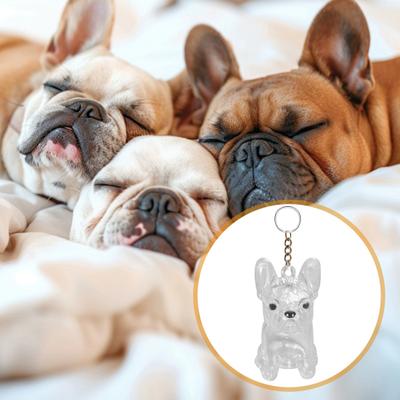 Yousheng Köpek Tüyü Toplayıcı Anahtarlık Ucu Şeffaf Evcil Hayvan Tüyü Hatıra Kapsülü Tavşan Anıtı Evcil Hayvan Tüyü Toplama Şişesi Anahtarlıklı Uç Hediye for