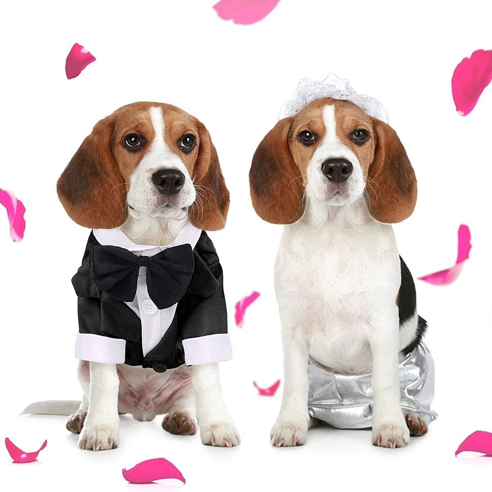 Dog Tuxedo Suit Costume Pet Cat Dog Wedding Birthday Party Formal Shirt with Bow Tie for Puppy Small Medium Dogs Costume