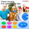Interactive Squeaky Pet Toy Ball with Durable Spiked Surface for Chewing and Fetch Training Suitable for Dogs and Puppies