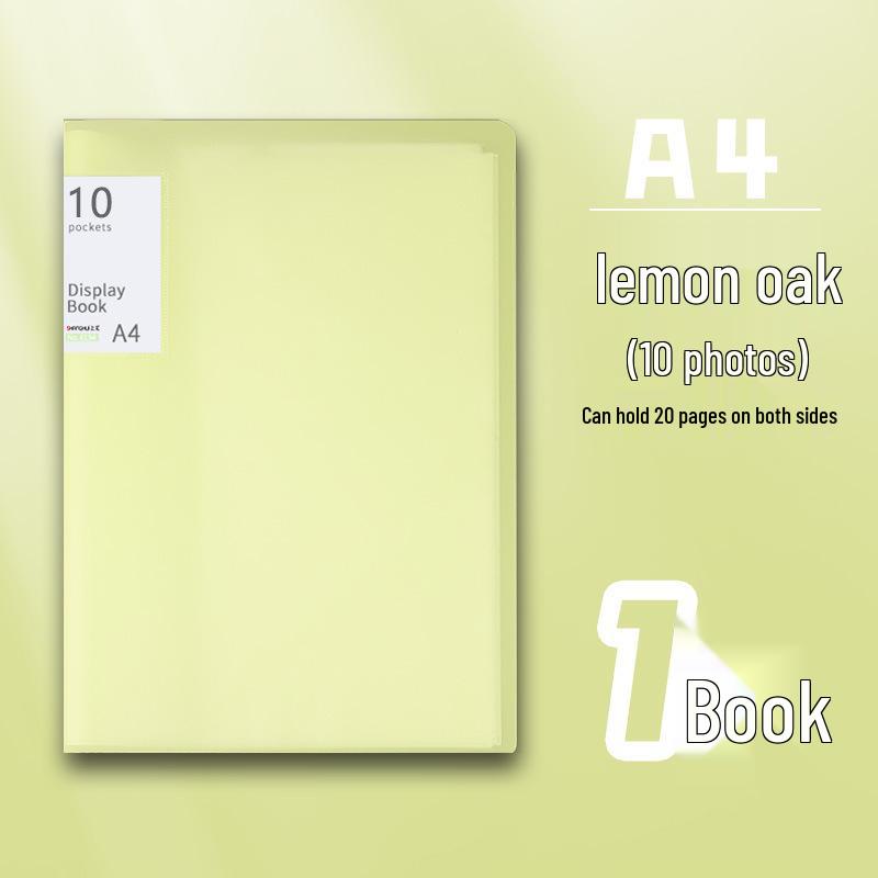 A4 Morandi Color Transparent Data Folder & Archive Album for Test Papers 10 pages