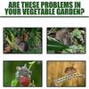 Peppermint Oil Rodent Repellent For Garden Rats And Rat Pest Control (box Of 2, 40 Pieces)