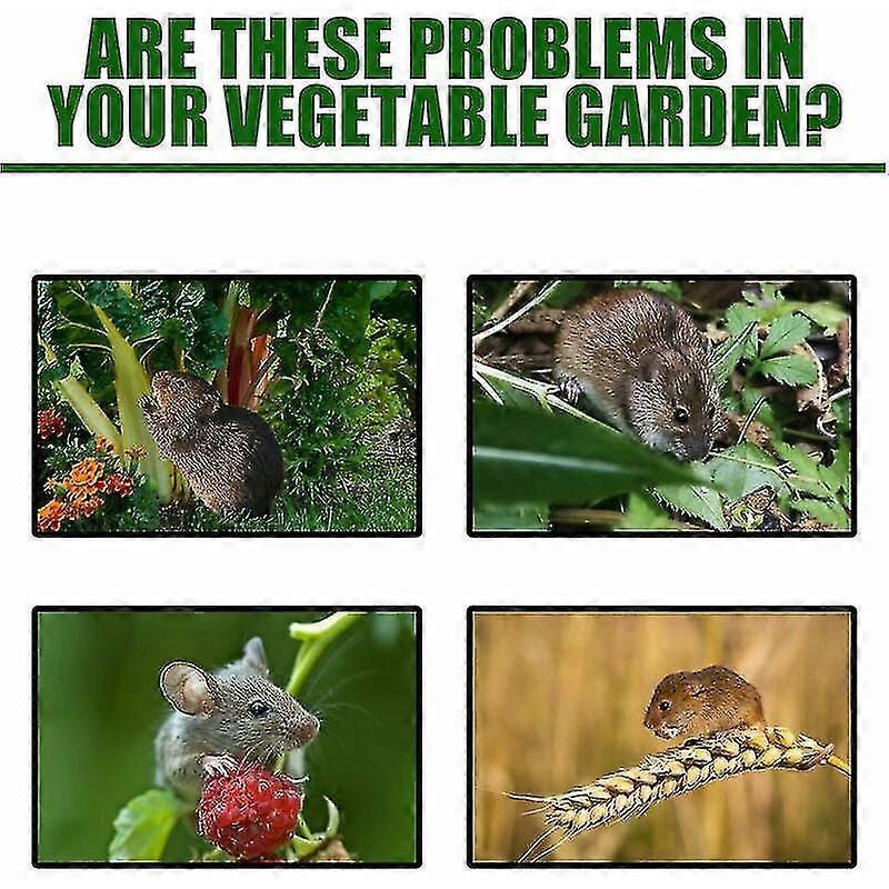 Peppermint Oil Rodent Repellent For Garden Rats And Rat Pest Control (box Of 2, 40 Pieces)