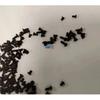 50pcs 2mm/2.5mm/3mm screws for aiwa cassette deck walkman player