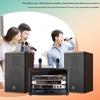 Songchuan SP101 Home KTV Professional Audio System CN Plug (adapter Included)