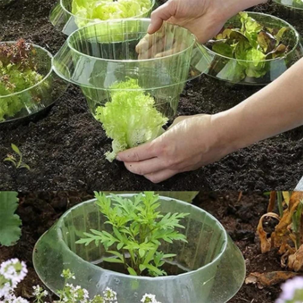 5Pcs Defense Cover Reusable Snail Collars Pest Control Lawn Care Slug Protection Ring Save Water Snail Defense Cover Garden Tool