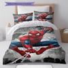 Dark and Edgy Spider-Man Bedding Set – The Perfect Choice To Decorate Your Bedroom and Enhance Your Home Life.