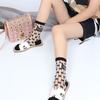 5 Pairs of Women's Mid Length Socks Thin Summer Ice Silk High Tube Transparent Personalized Glass Fiber