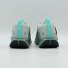 FQ0908-013 Nike Pegasus Trail 5 GORE-TEX Light Silver Clay Green Mint Foam (Men'