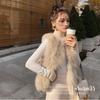 Autumn and Winter New Imitation Fox Fur Imitation Fur Vest Short Fur Vest Thin Plush Jacket