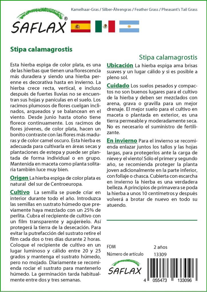 SAFLAX Garden In the Bag - Feather Grass / Pheasant's Tail Grass - 50 Seeds - With Substrate In a Fitting Stand Up Bag - Stipa Calamagrostis