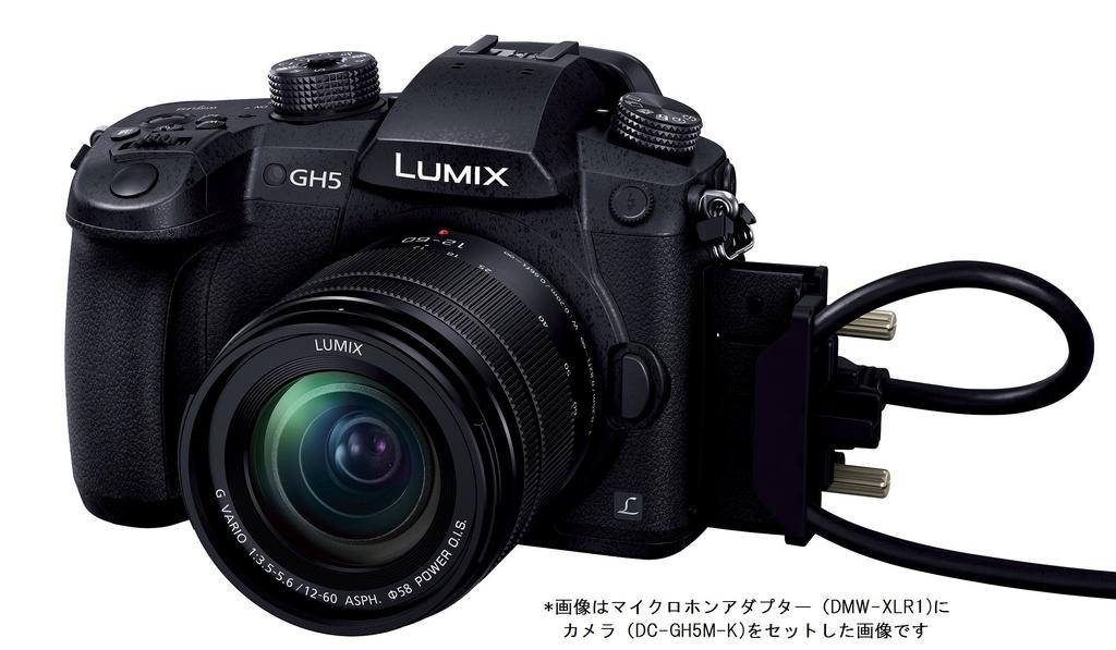 Panasonic Адаптер микрофона XLR Lumix DMW-XLR1 – купить по низким
